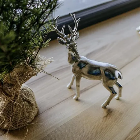 아파트 Luxury Kajmer *