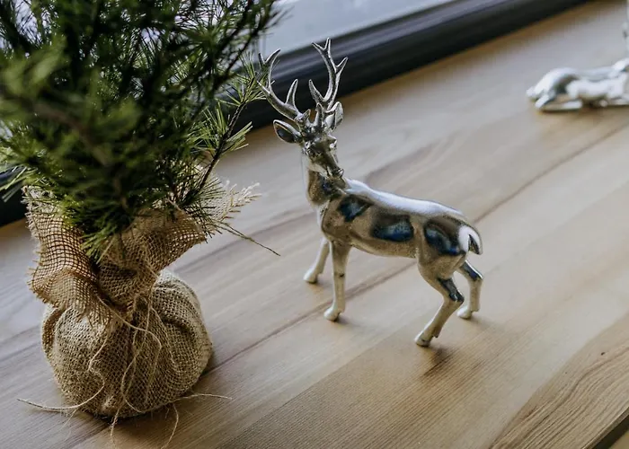 Appartement Luxury Kajmer *